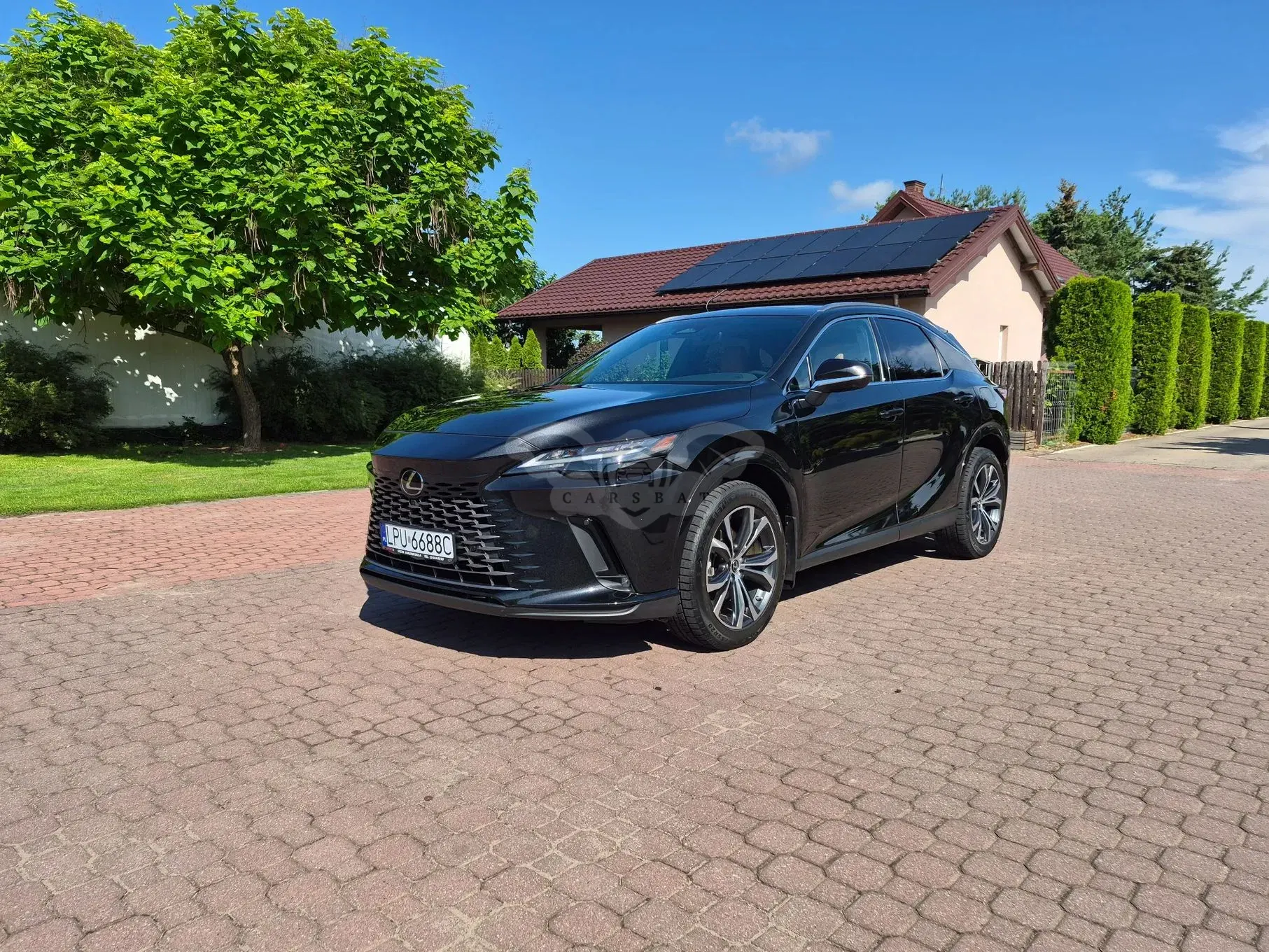 Lexus RX V (2022-) 350h (hybrid) Business 2024
