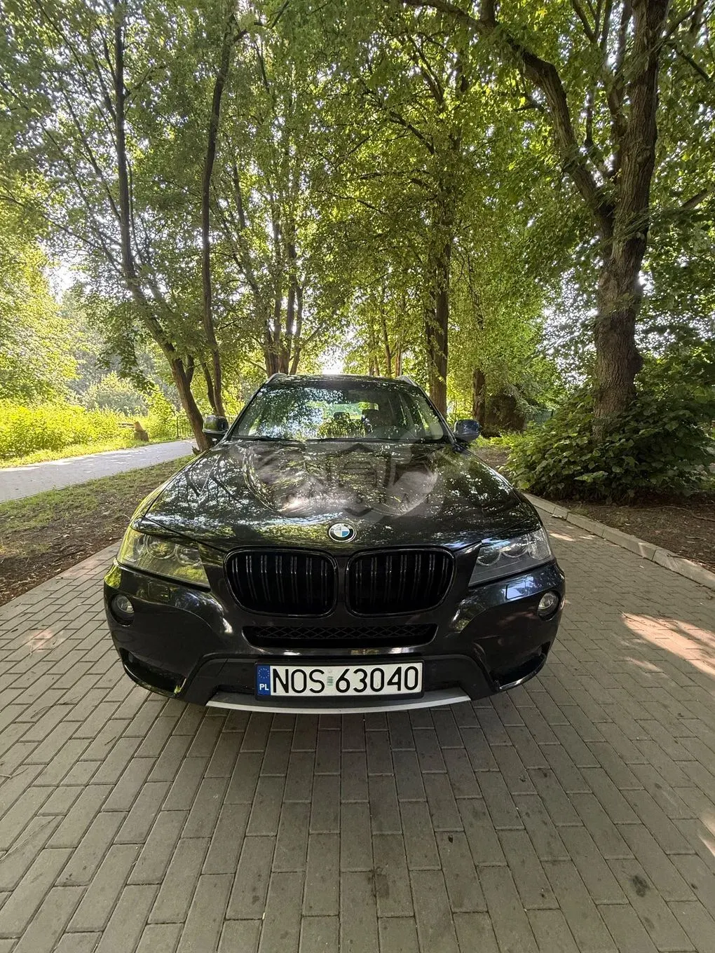 BMW X3 F25 (2010-2017) 2010