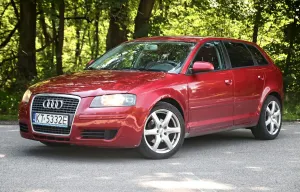 Audi A3 8P (2003-2012) 1.9 TDI Ambiente 2007
