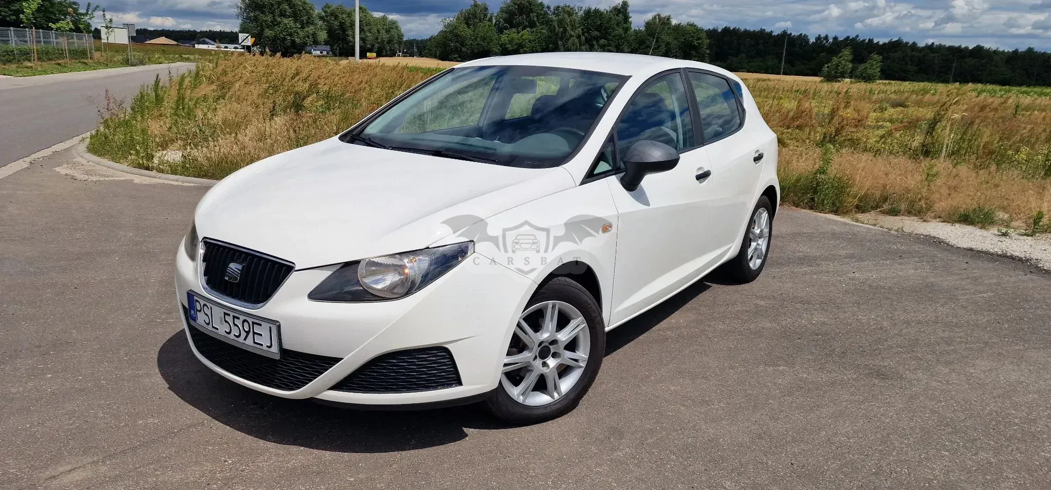 Seat Ibiza IV (2008-2017) 1.2 12V Style 2010
