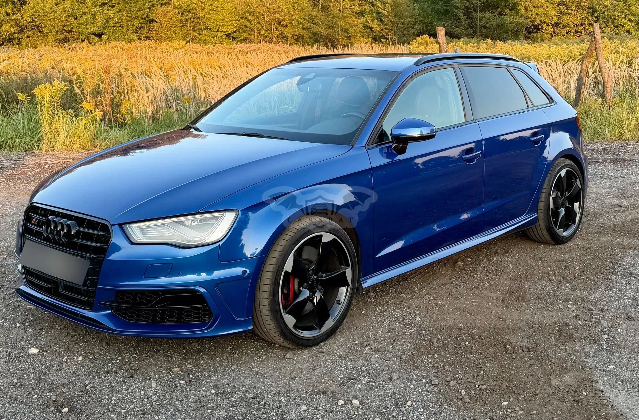 Audi S3 8V (2012-2020) 2.0 TFSI Quattro S tronic 2016