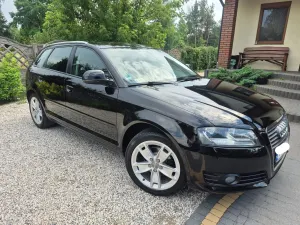 Audi A3 8P (2003-2012) 1.6 Ambition 2009