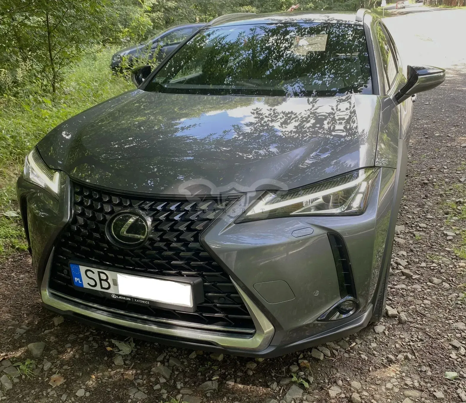 Lexus UX 2019