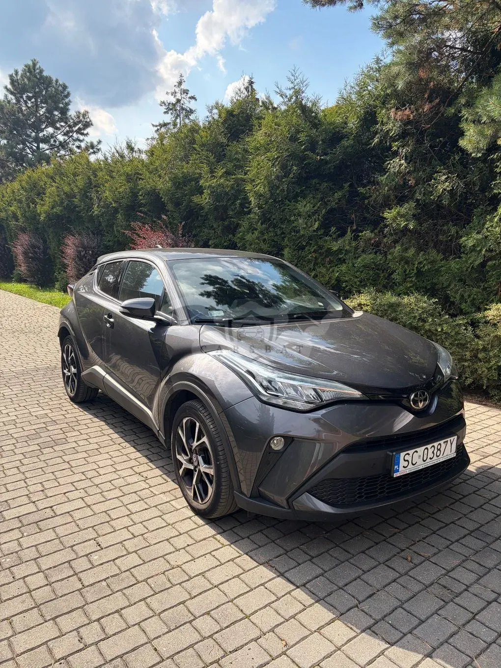 Toyota C-HR 1.2 T Dynamic 2019