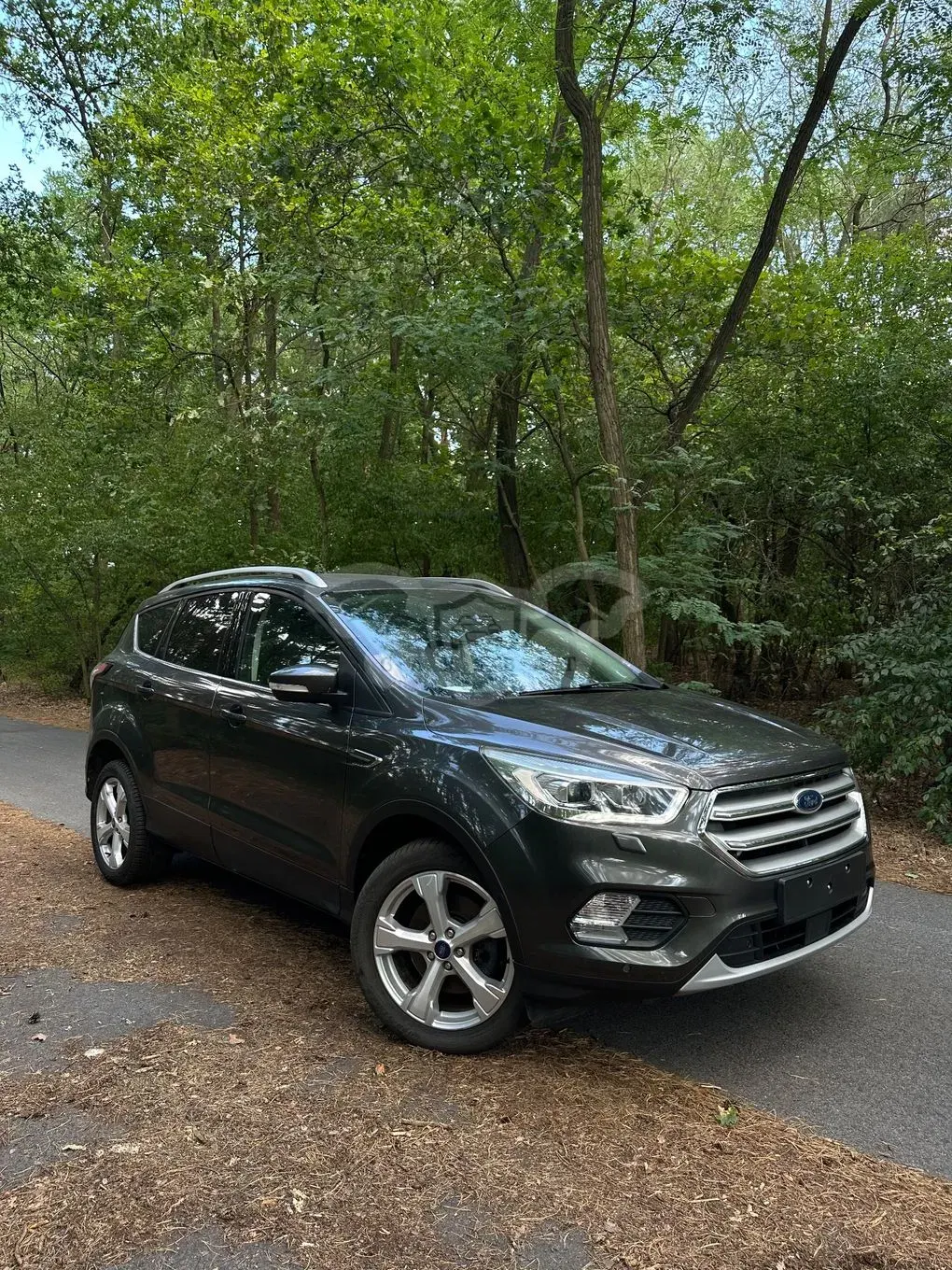 Ford Kuga III (2019 - ) 2019