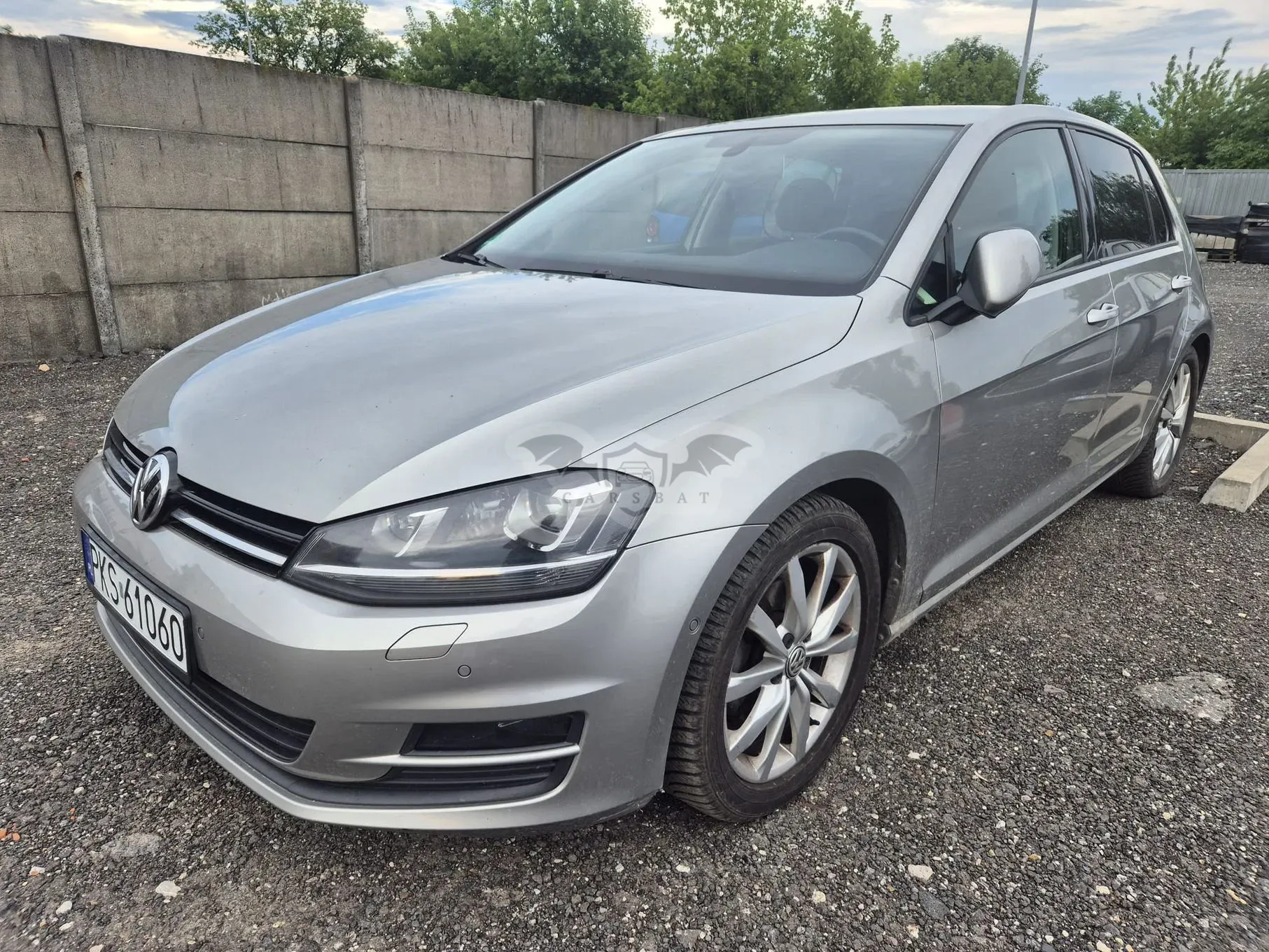 Volkswagen Golf VII (2012-2020) 2014