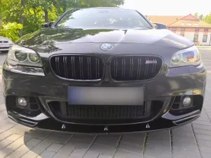BMW 5 Series F10/F11 (2009-2017) 528i xDrive Sport-Aut Luxury Line 2012