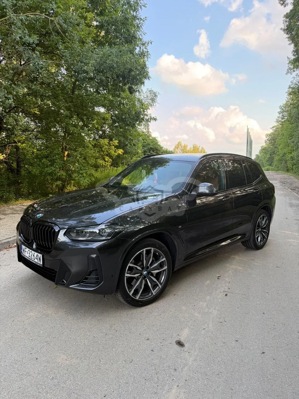 BMW X3 G01 (2017-) xDrive30i mHEV M Sport sport 2021