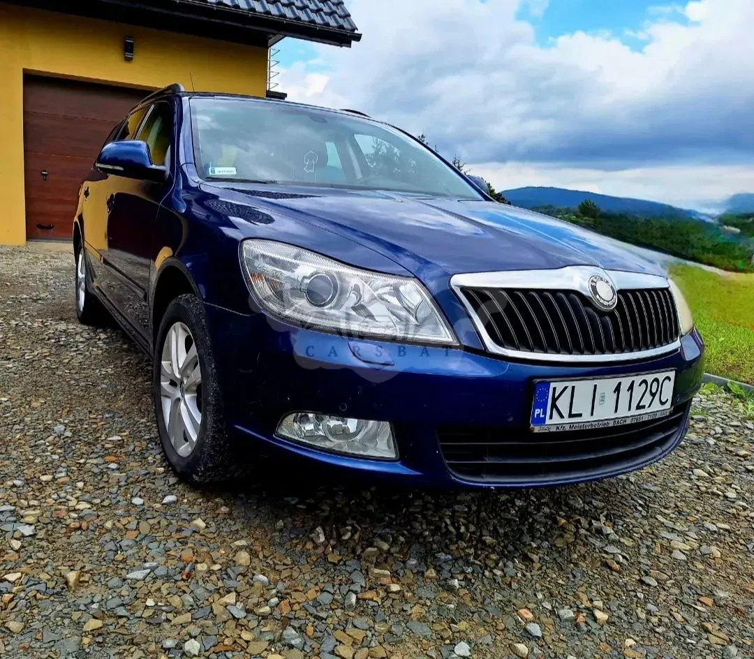 Skoda Octavia II (2004-2013) 2.0 TDI DPF 4x4 Elegance 2009