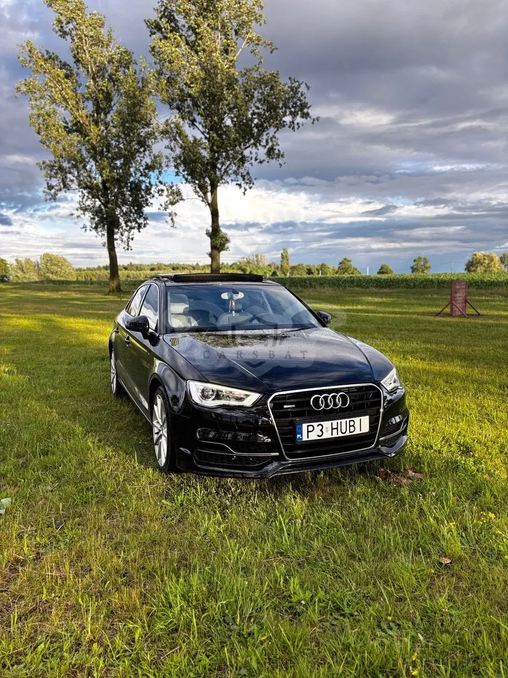 Audi A3 8V (2012-) 2014