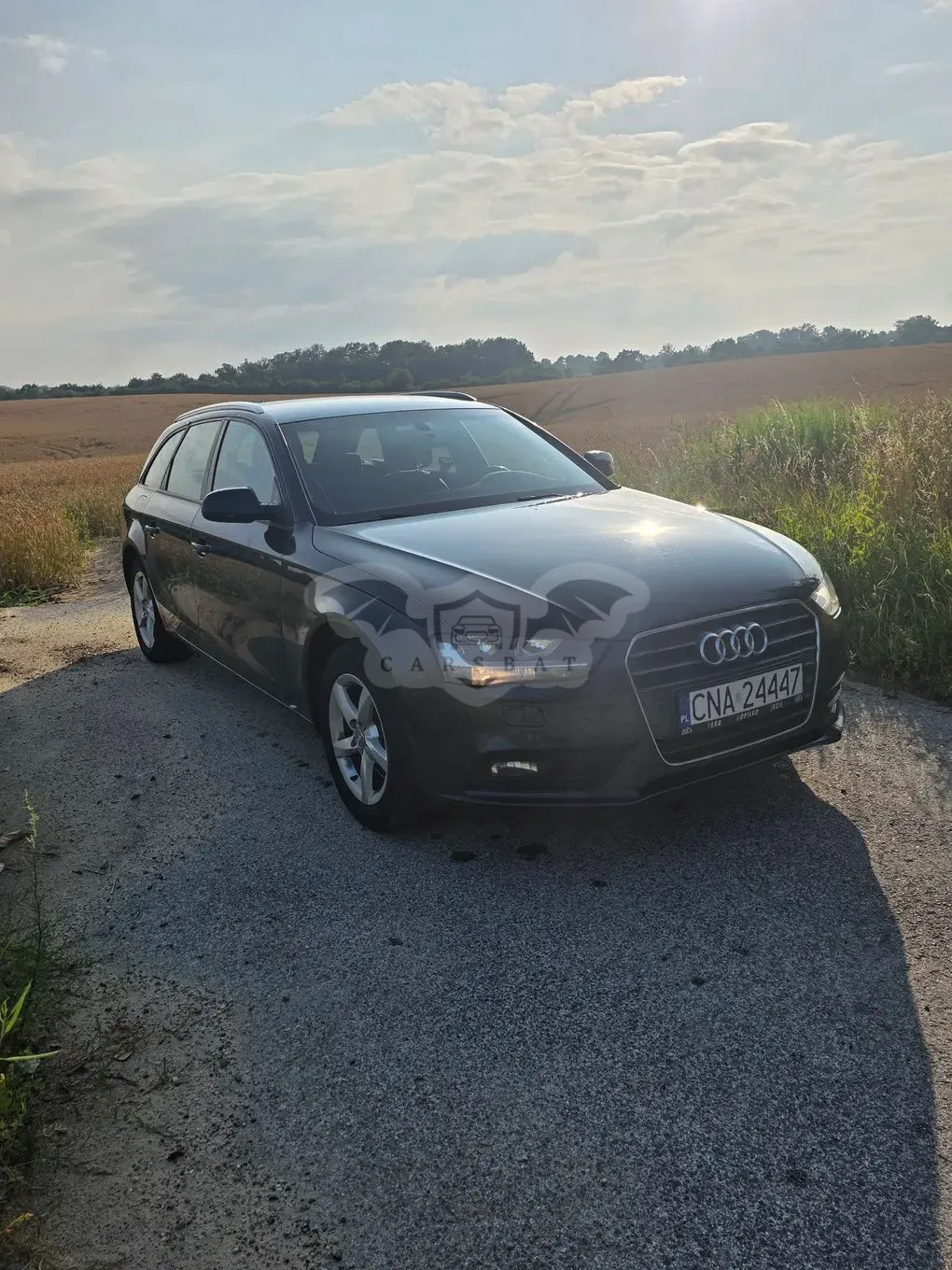 Audi A4 B8 (2007-2015) 2.0 TDI clean diesel 2014