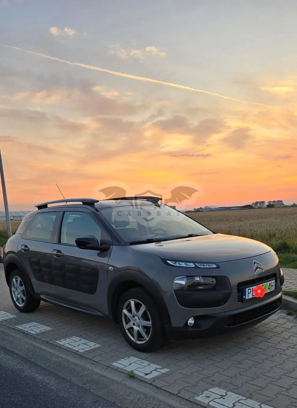 Citroën C4 Cactus 1.2 PureTech Shine Edition S&S ETG 2017