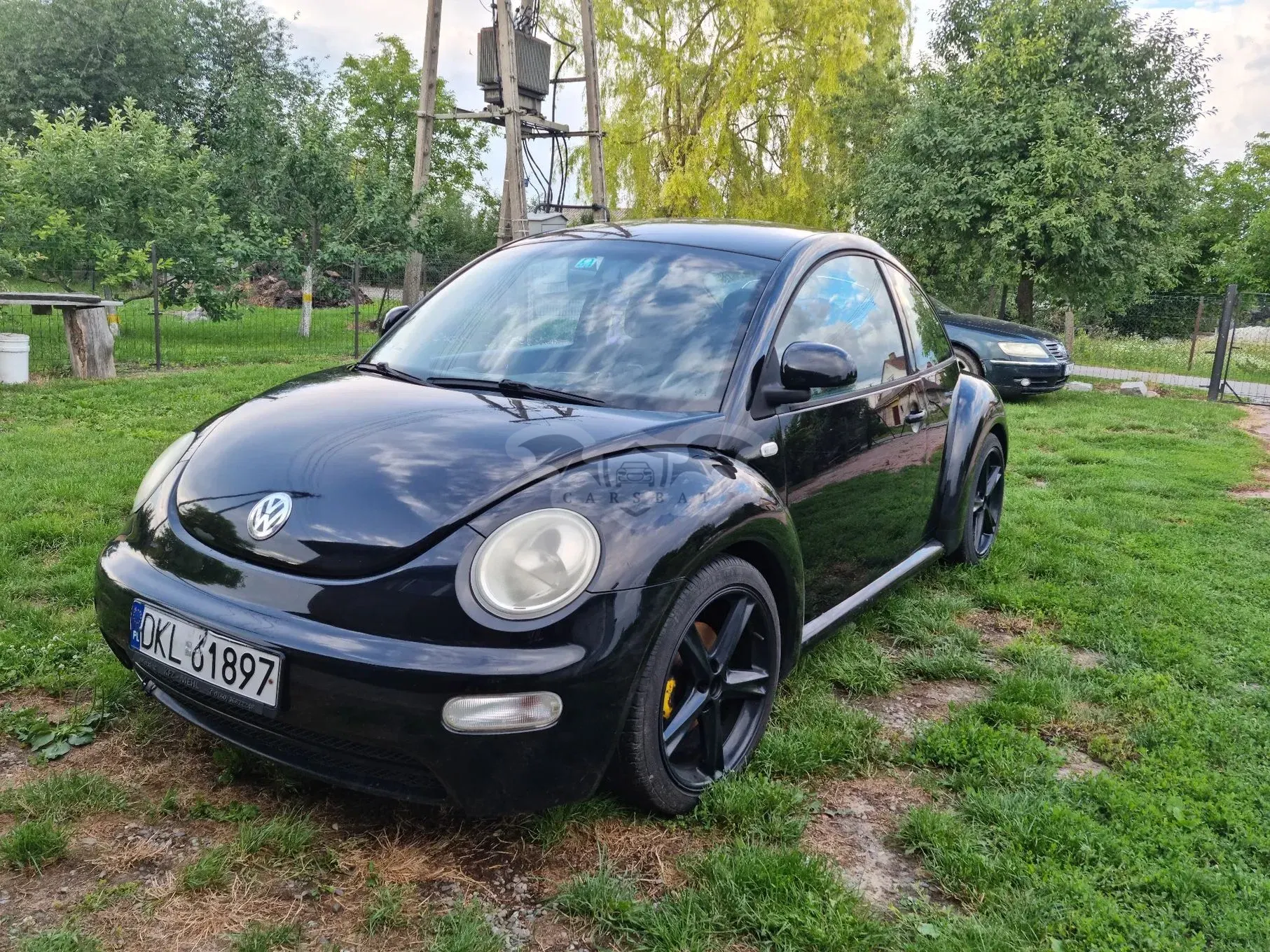 Volkswagen Beetle 2000