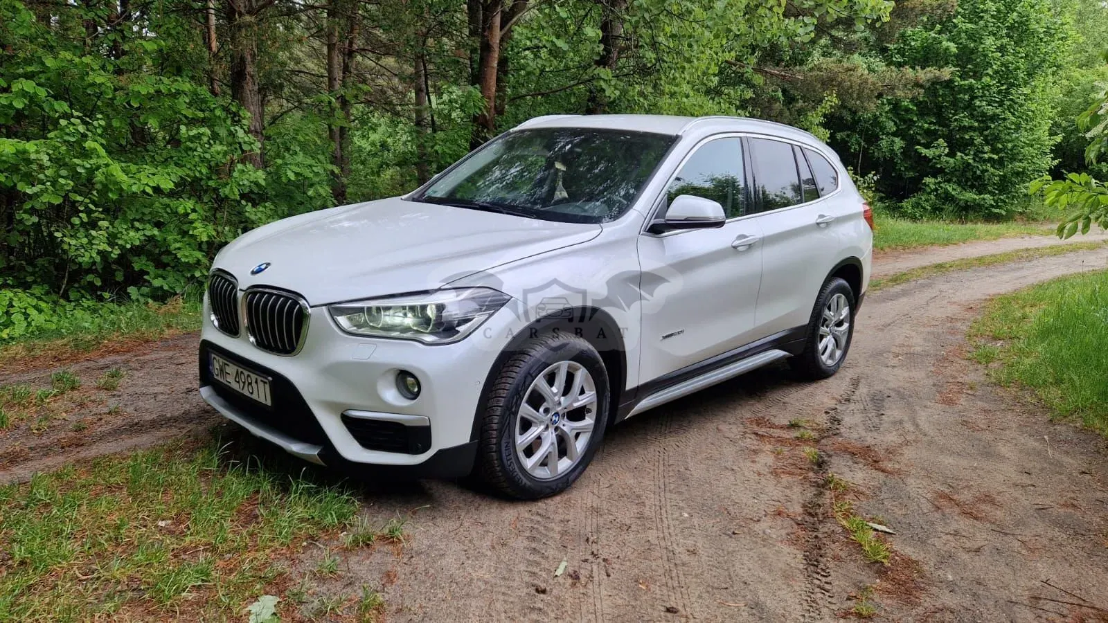 BMW X1 F48 (2015-2022) xDrive20i 2017