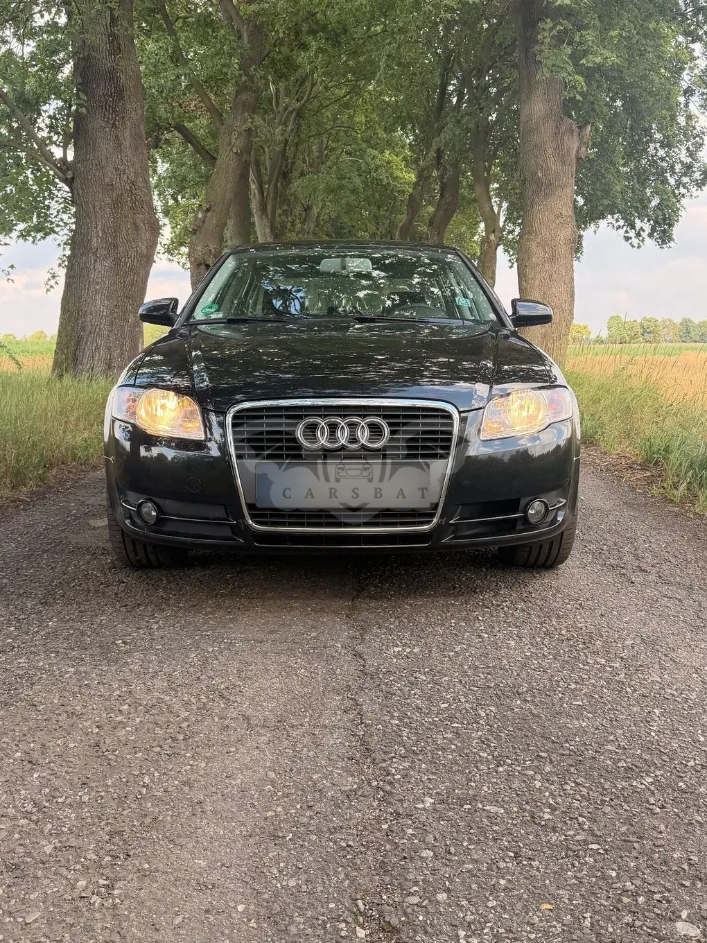 Audi A4 B7 (2004-2007) 2.0 TDI DPF 2007
