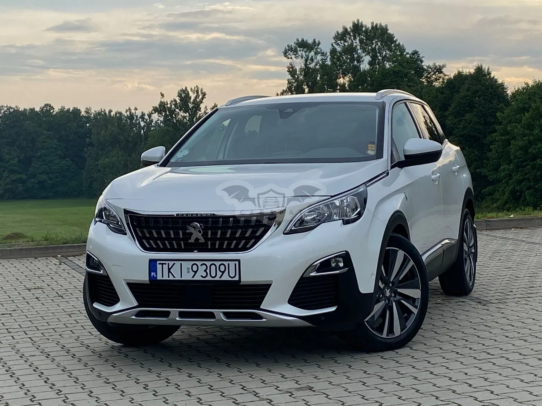 Peugeot 3008 II (2016-2024) BlueHDi 130 Stop & Start Allure Business-Paket 2019