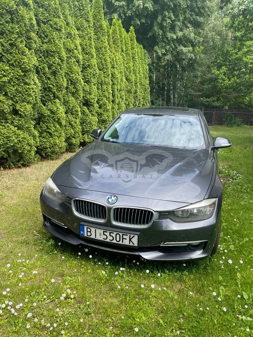 BMW 3 Series F30/F31 (2012-2020) 328i xDrive Luxury Line 2013
