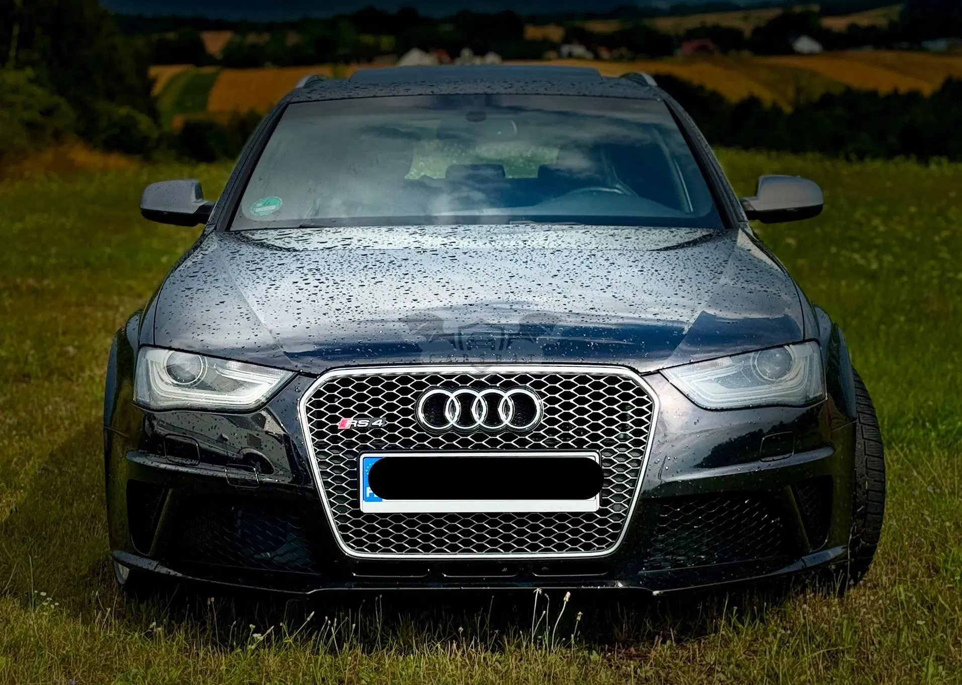 Audi RS4 Avant S tronic 2014