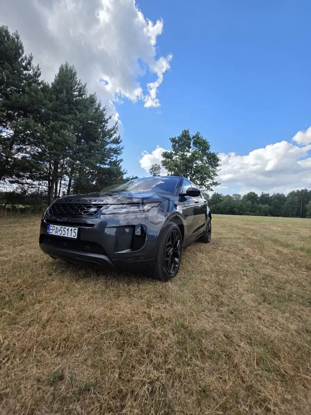 Land Rover Range Rover Evoque II (2019-) P250 2020