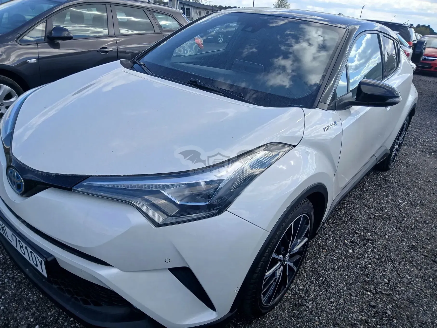 Toyota C-HR Business-Edition 2018