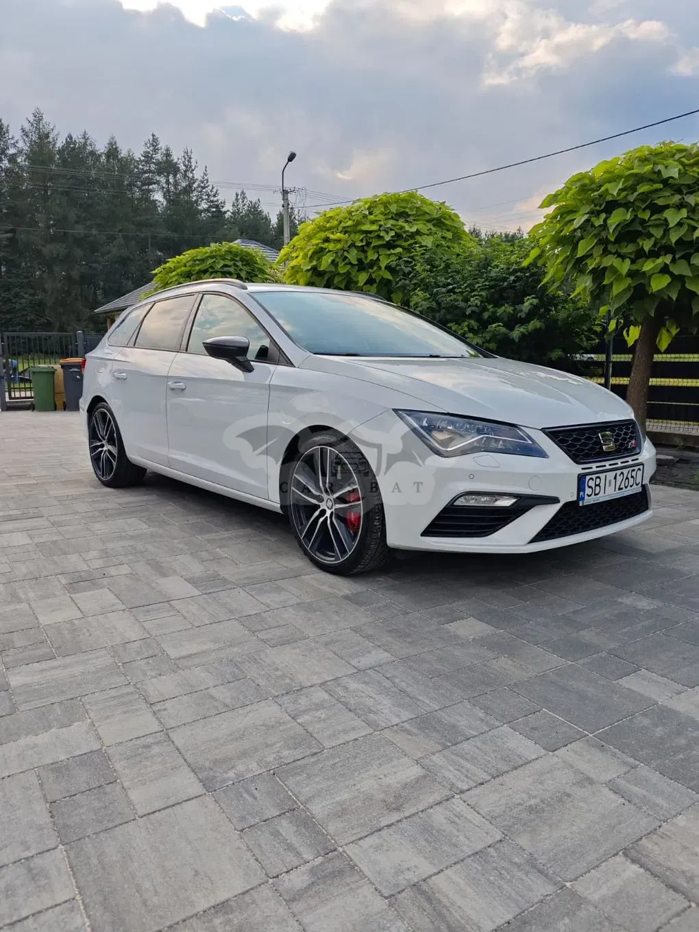 Seat Leon III (2012-) 2.0 TSI Cupra Performance Black S&S DSG 2017
