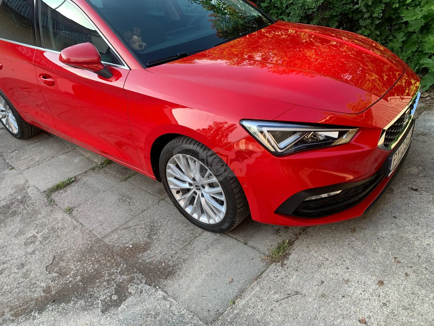 Seat Leon IV (2020 - ) 1.5 TSI Xcellence 2022