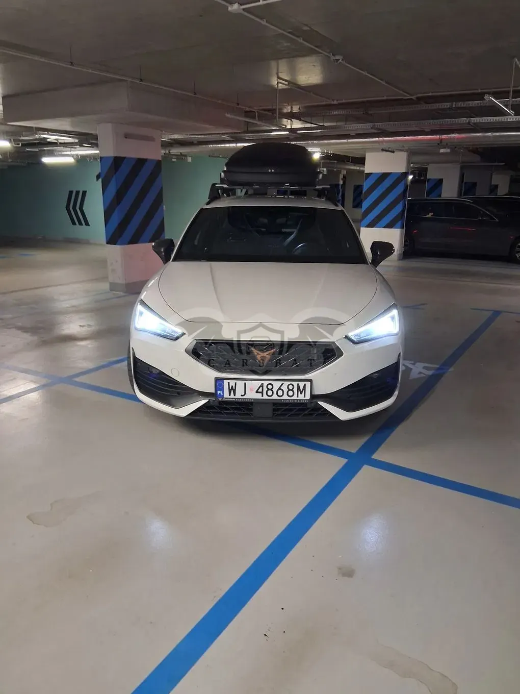 Cupra Leon 2.0 TSI DSG 2023