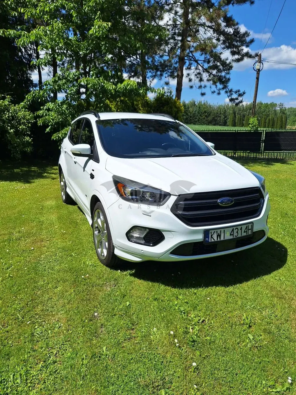Ford Kuga II (2012-) 2.0 TDCi AWD ST-Line 2017
