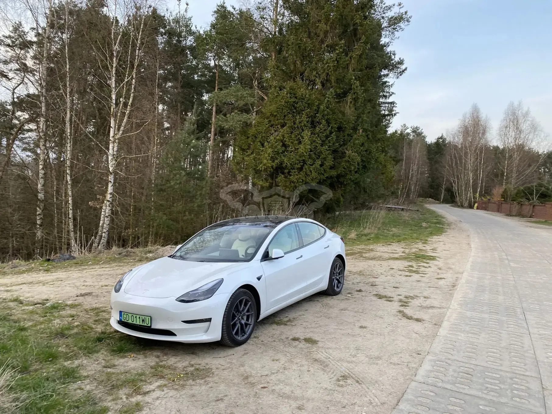 Tesla Model 3 2021