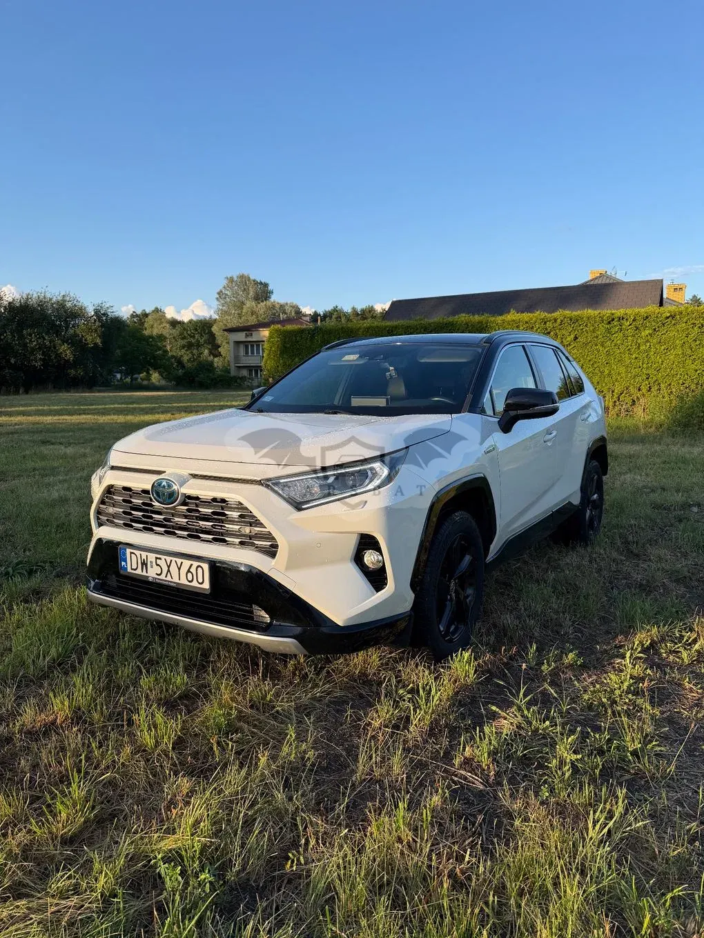 Toyota Rav4 V (2018-) Hybrid Selection 4x2 2019
