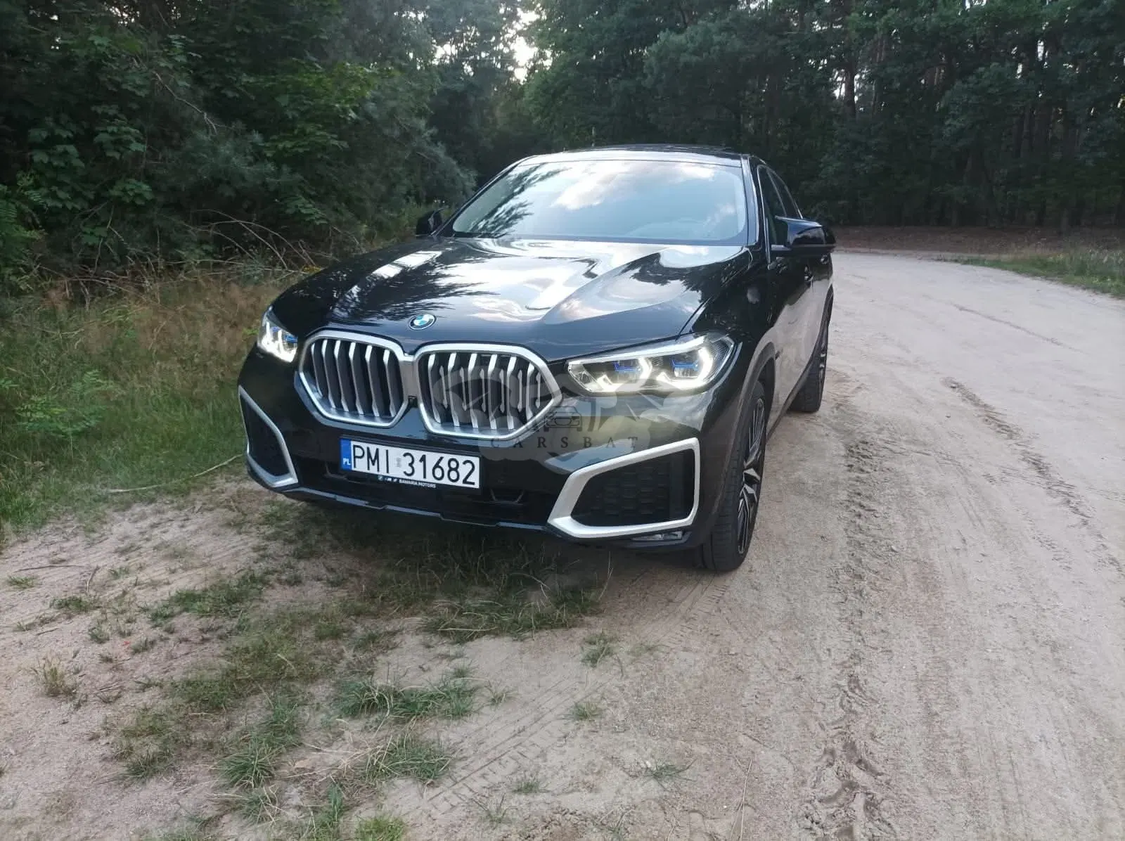 BMW X6 G06 (2019-) xDrive40d mHEV 2021