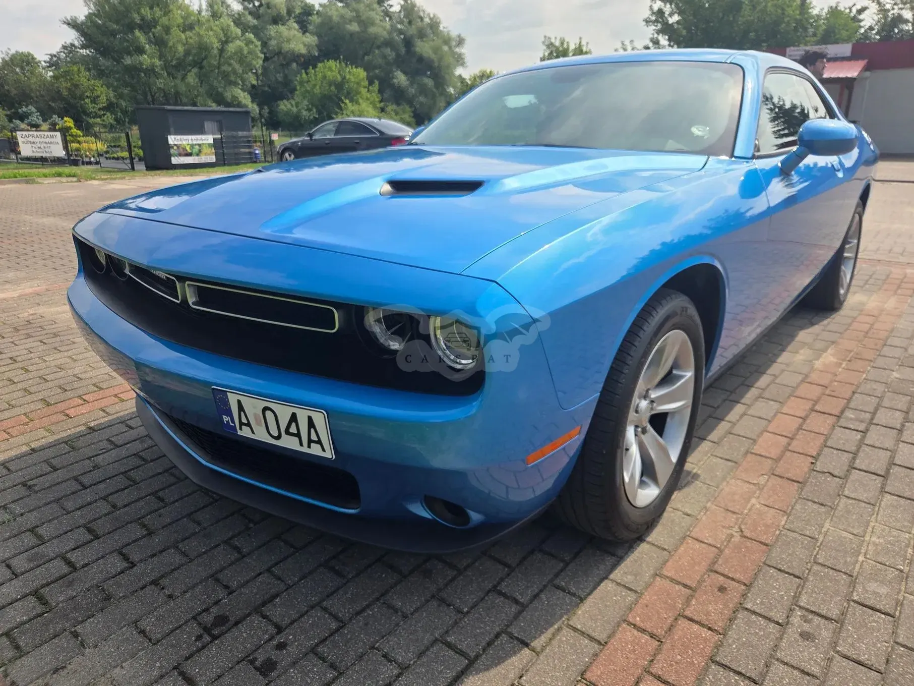 Dodge Challenger 3.6 SXT 2019