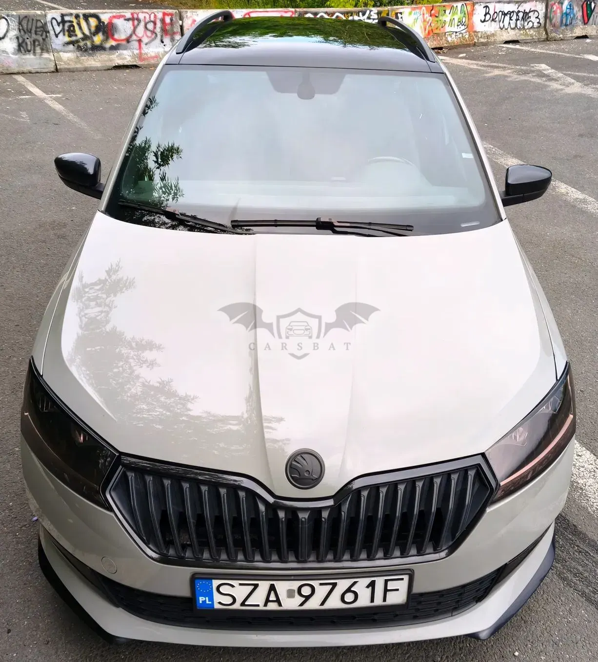 Skoda Fabia III (2014-2021) 1.0 Monte Carlo 2018