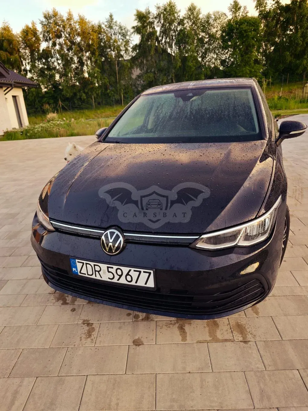 Volkswagen Golf VIII (2020-) 2.0 TDI SCR 2020