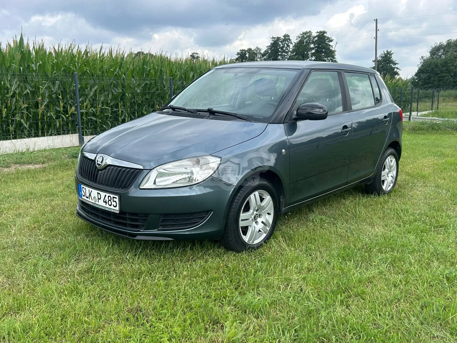 Skoda Fabia II (2007-2014) 1.2 HTP Cool Colour Edition 2014