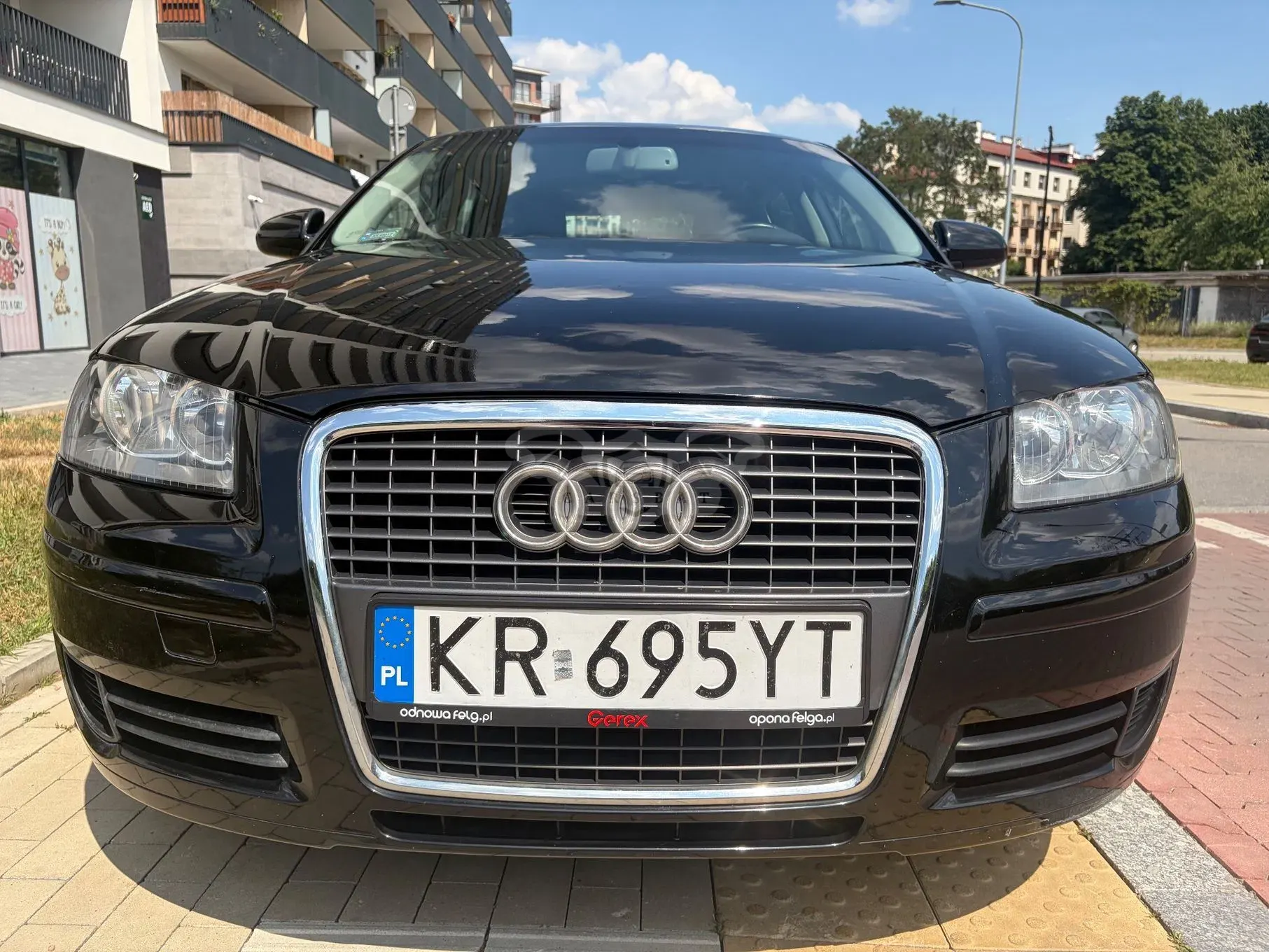 Audi A3 8P (2003-2012) 1.6 TDI DPF Ambition 2006
