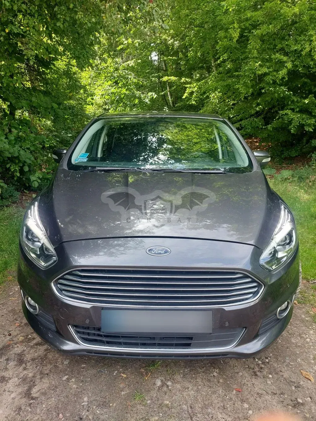 Ford S-Max II (2015-) 2.0 TDCi Titanium PowerShift 2017