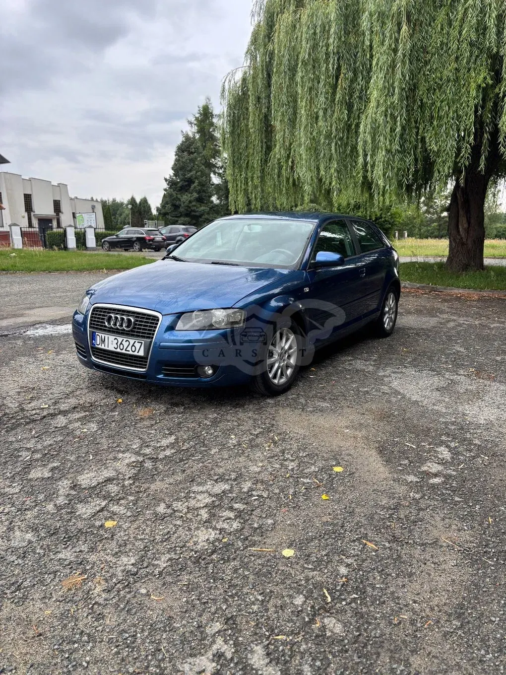 Audi A3 8P (2003-2012) 1.6 Ambiente 2006