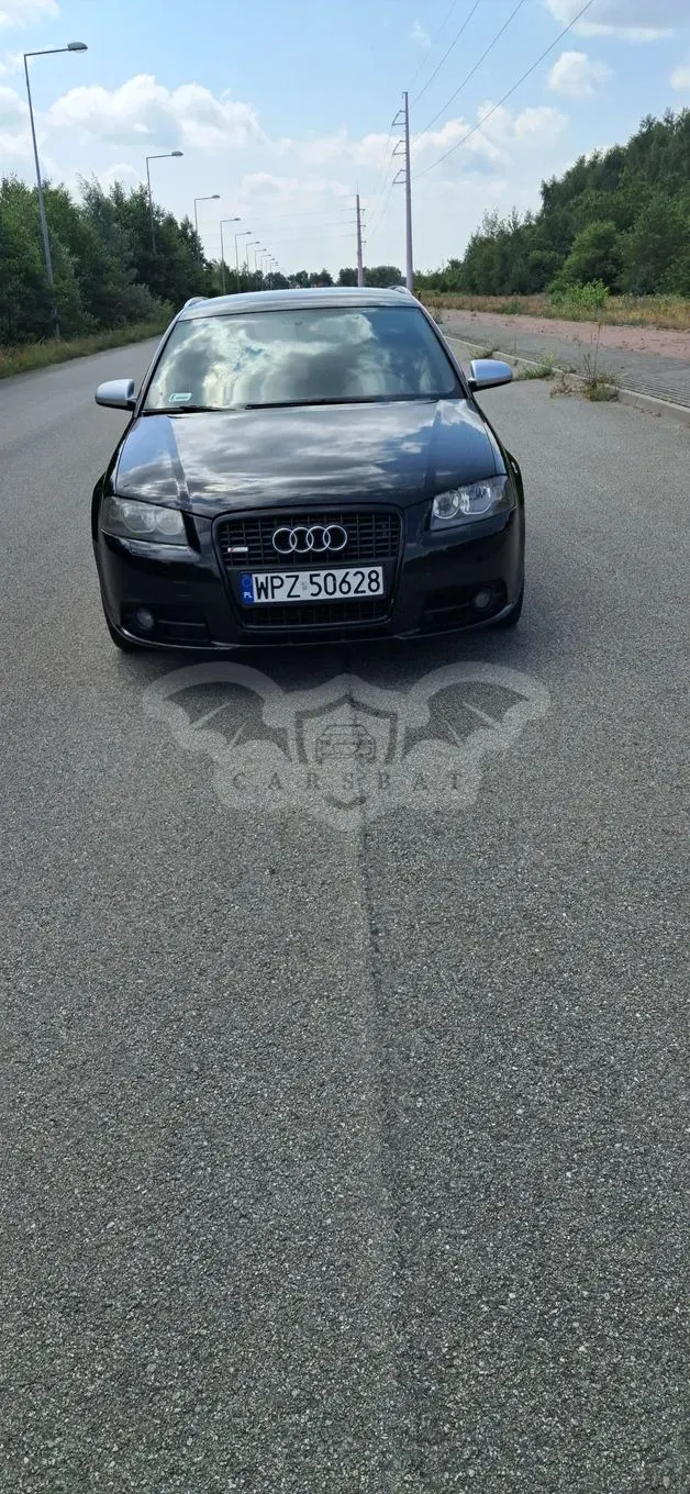 Audi A3 8P (2003-2012) 2.0 TDI DPF Ambition 2007
