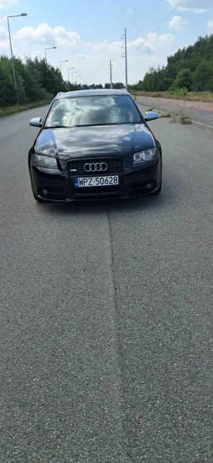Audi A3 8P (2003-2012) 2.0 TDI DPF Ambition 2007