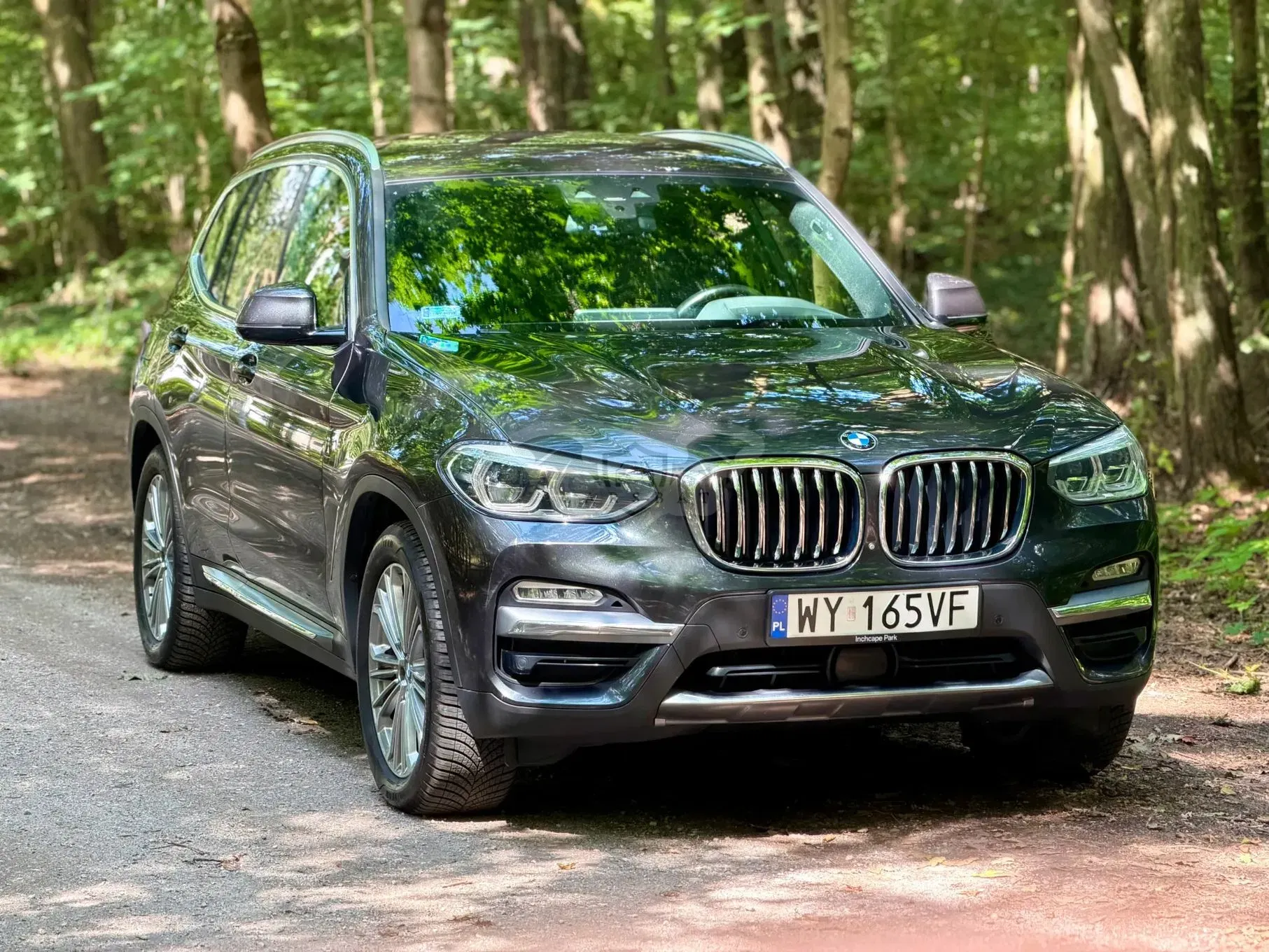 BMW X3 G01 (2017-) xDrive30i Luxury Line 2018