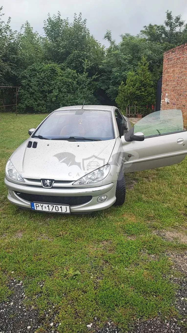 Peugeot 206 1.6 2004