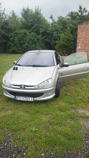 Peugeot 206 1.6 2004