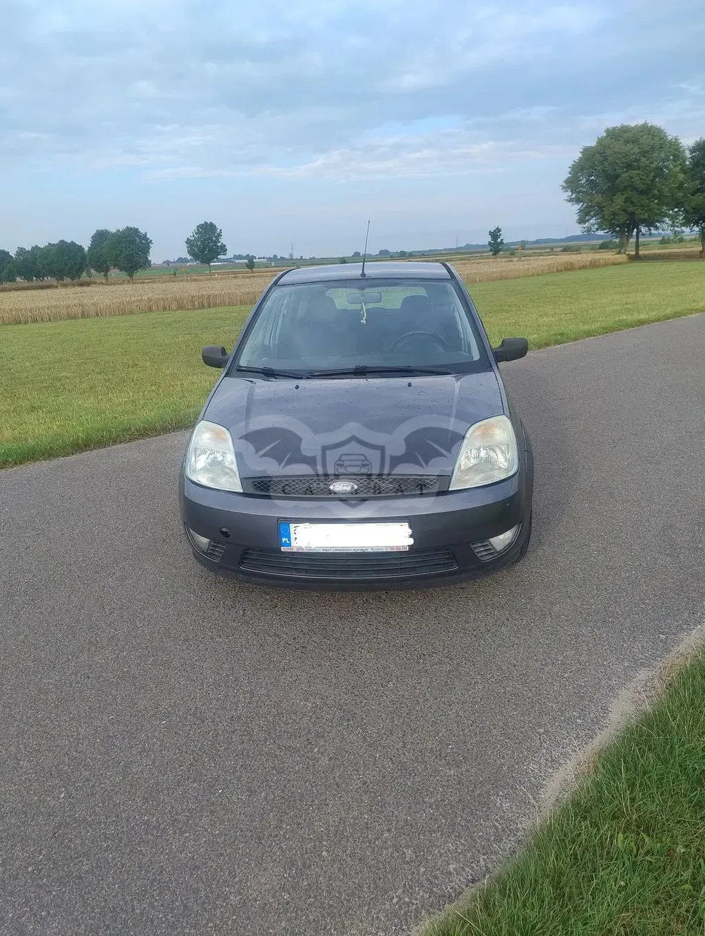 Ford Fiesta Mk6 (2002-2008) 1.25 2004