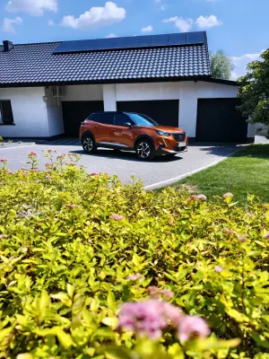Peugeot 2008 II (2019-) BlueHDi 130 Allure S&S EAT8 2023