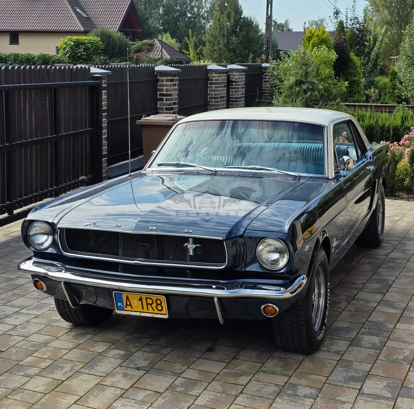 Ford Mustang 1965