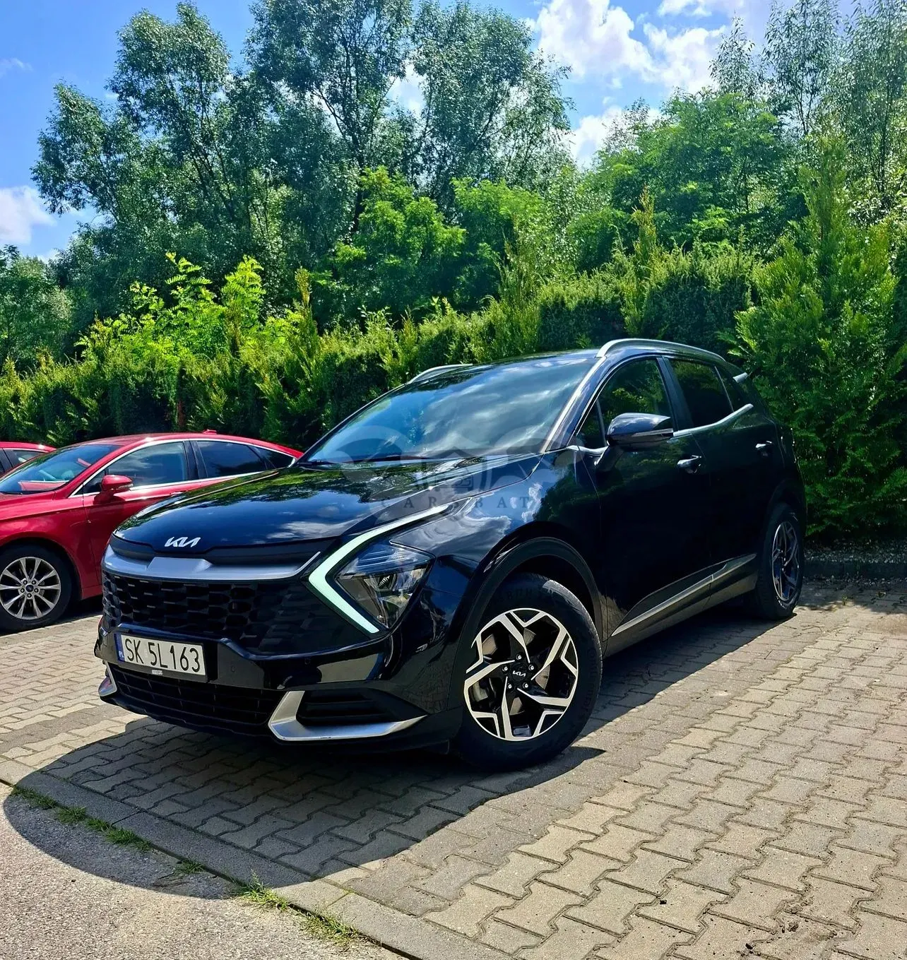 Kia Sportage V (2021-) 1.6 CRDI MHEV Black Edition 2WD DCT 2023
