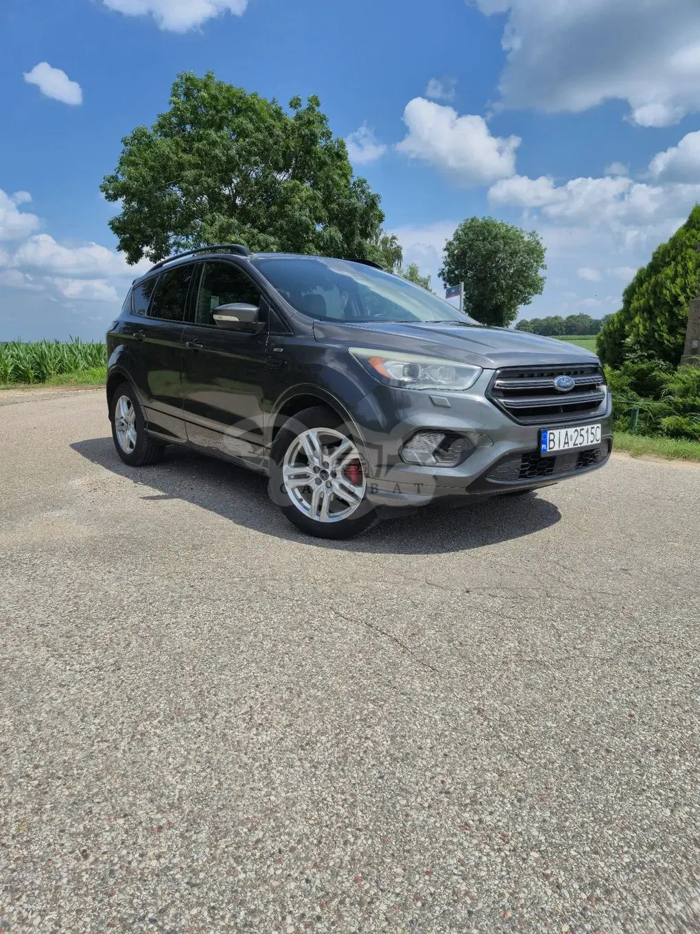 Ford Kuga II (2012-) 1.5 EcoBoost 2x4 ST-Line 2017