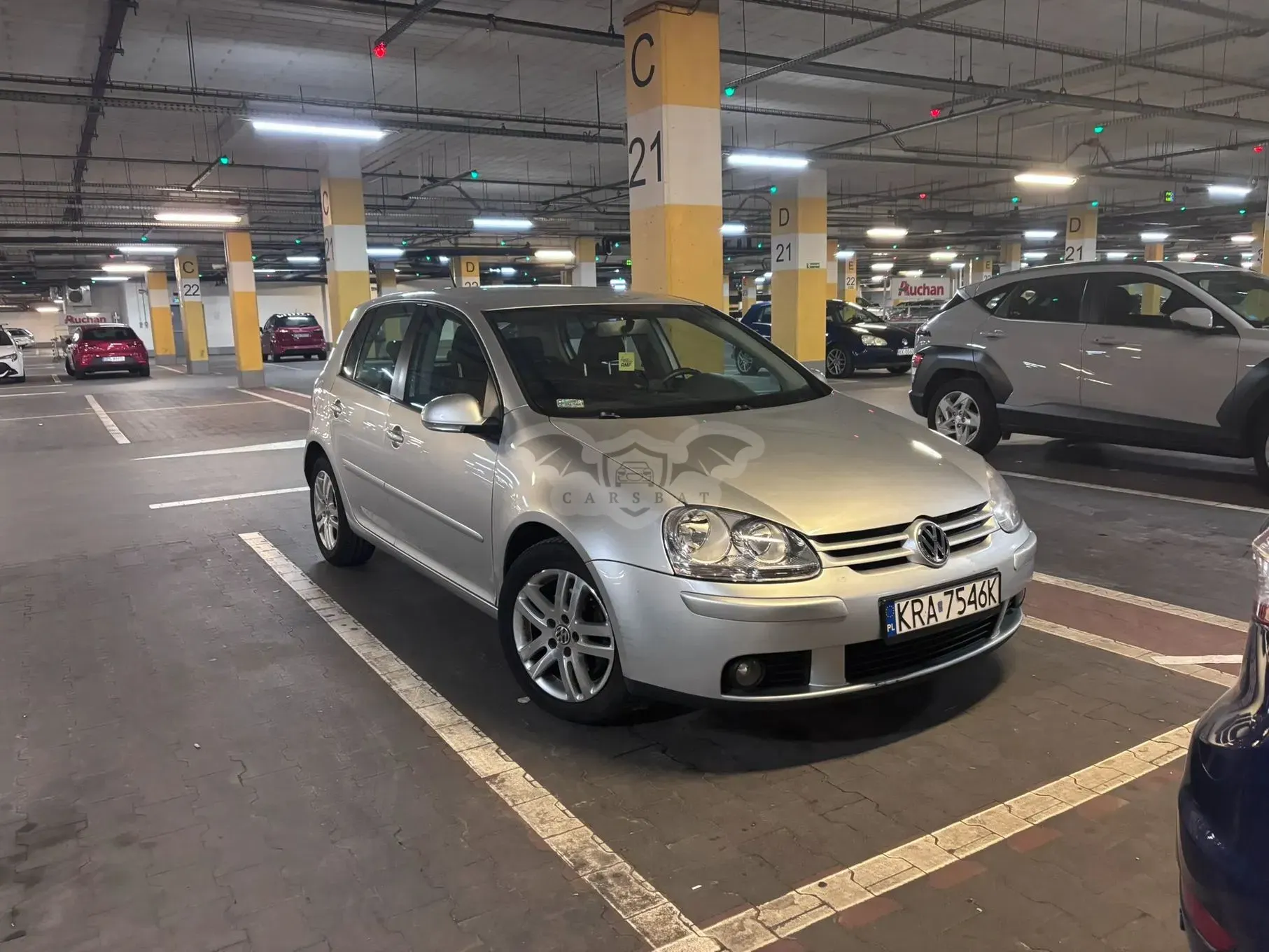 Volkswagen Golf V (2003-2009) 1.9 TDI Trendline 2006