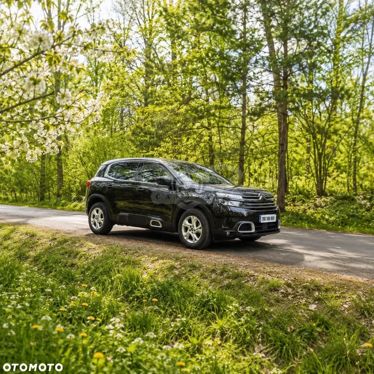 Citroën C5 Aircross 1.5 BlueHDi Live 2022
